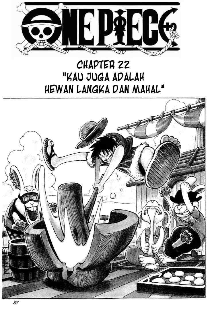 One Piece Chapter 22 - 181
