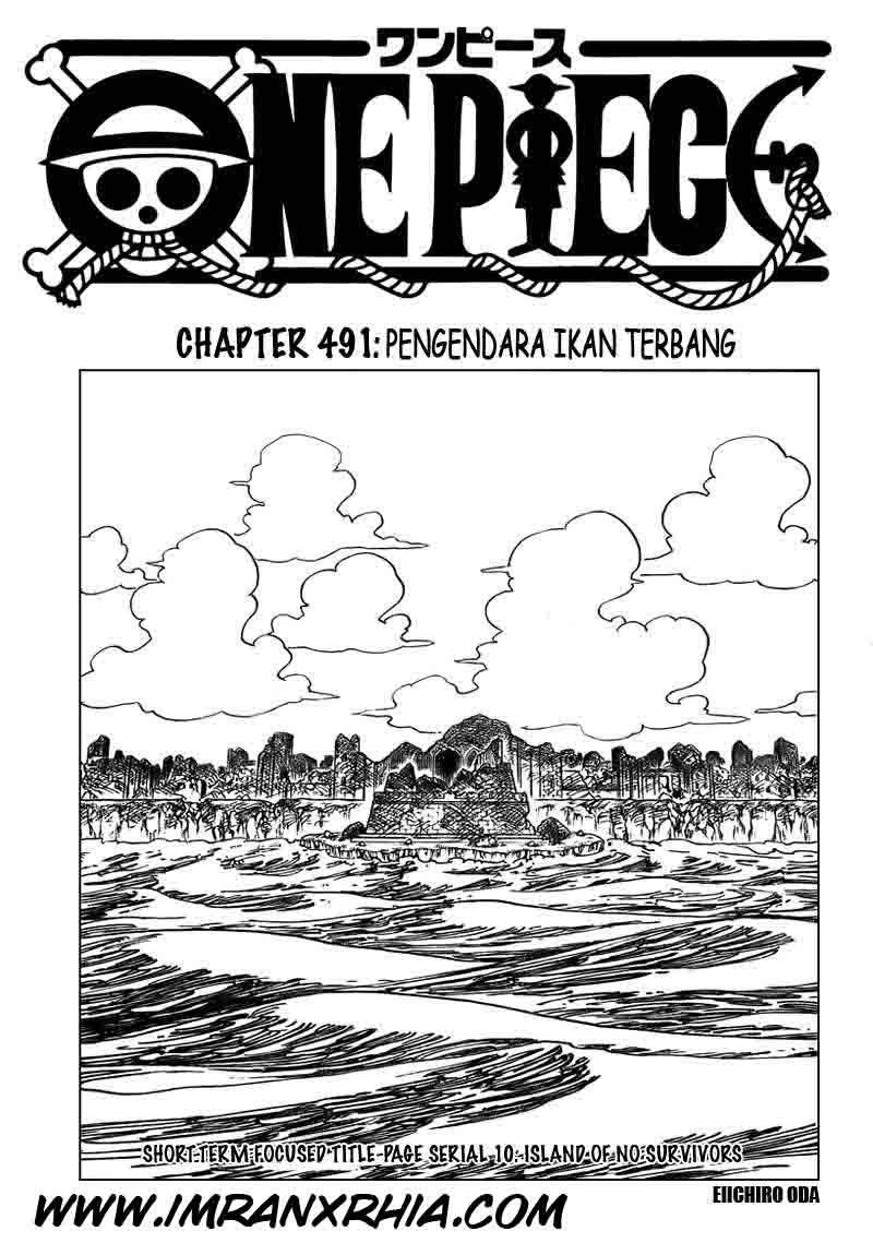 One Piece Chapter 491 - 121