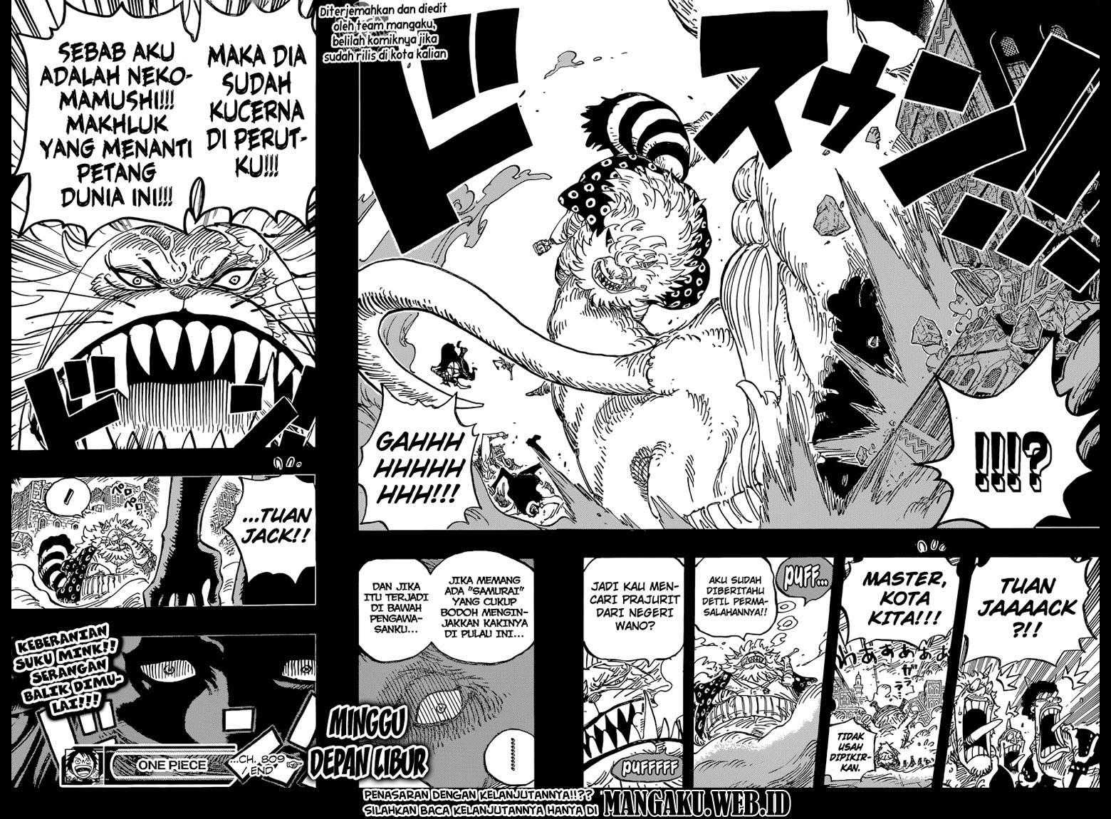 One Piece Chapter 809 – Master Nekomamushi - 155