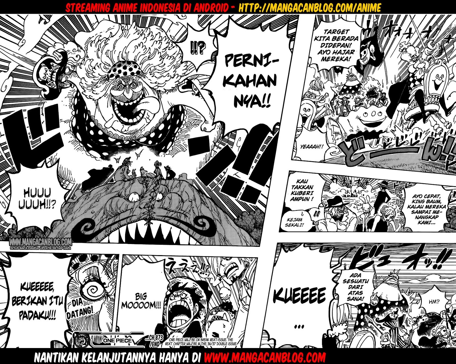 One Piece Chapter 873 - 135