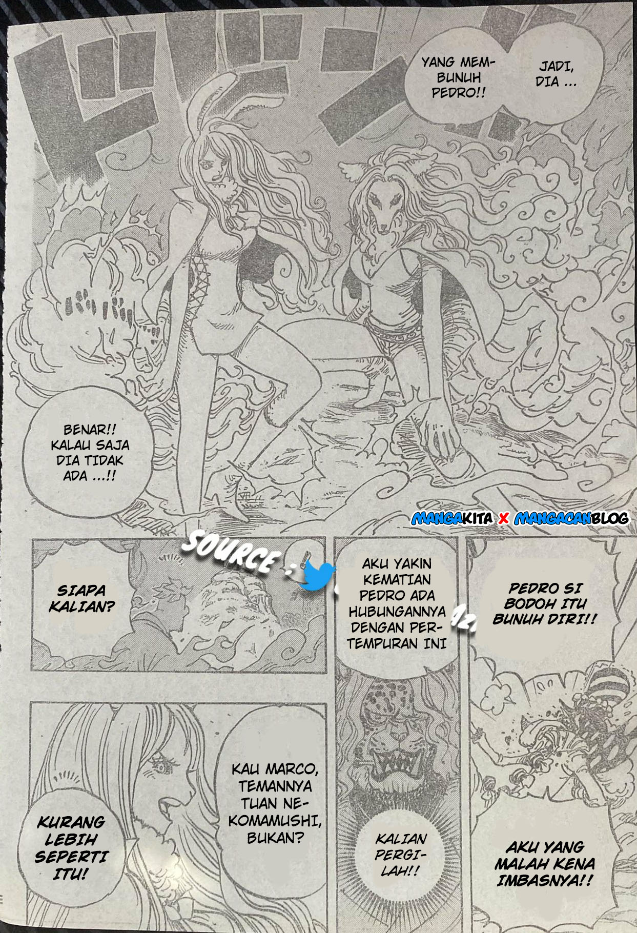 One Piece Chapter 995 Lq - 119
